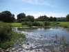 Another pond at Samaan Grove